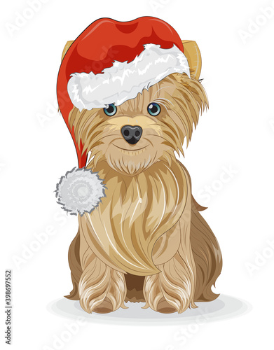 Yorkshire terrier dog in santa hat