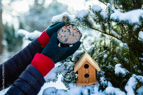 Photography Feeding birds in winter. Woman with bird food. Bird feeders.