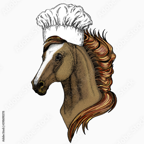 Horse head, horse portrait. Chef cook hat. Restaurant logo. Animal face for logo, emblem, tee shirt.