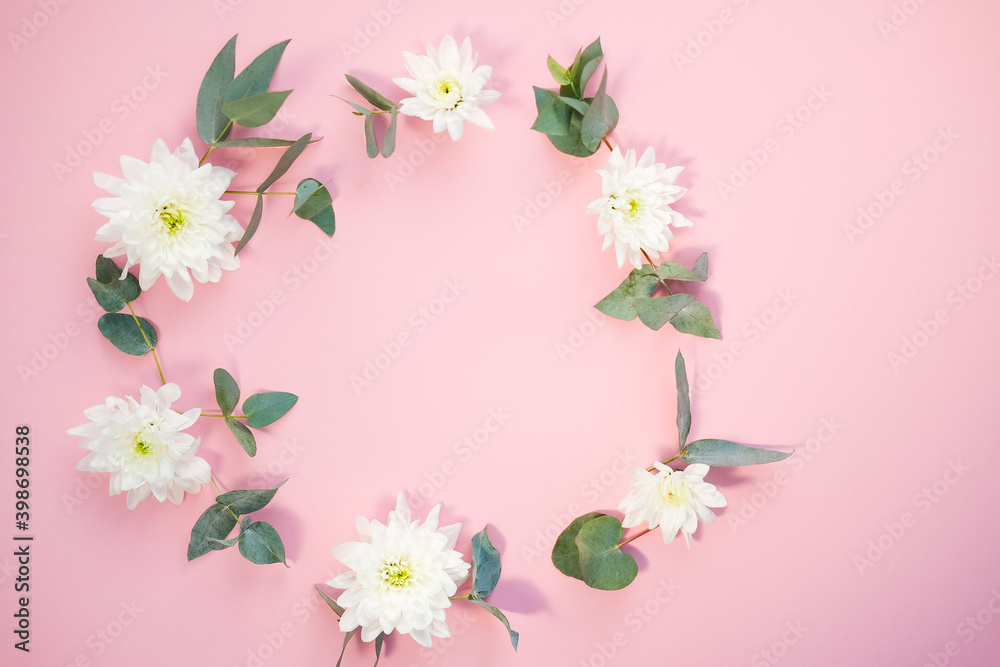 composition of white chrysanthemum flowers with eucalyptus leaves on a pink background. top view. copy space. flat lay