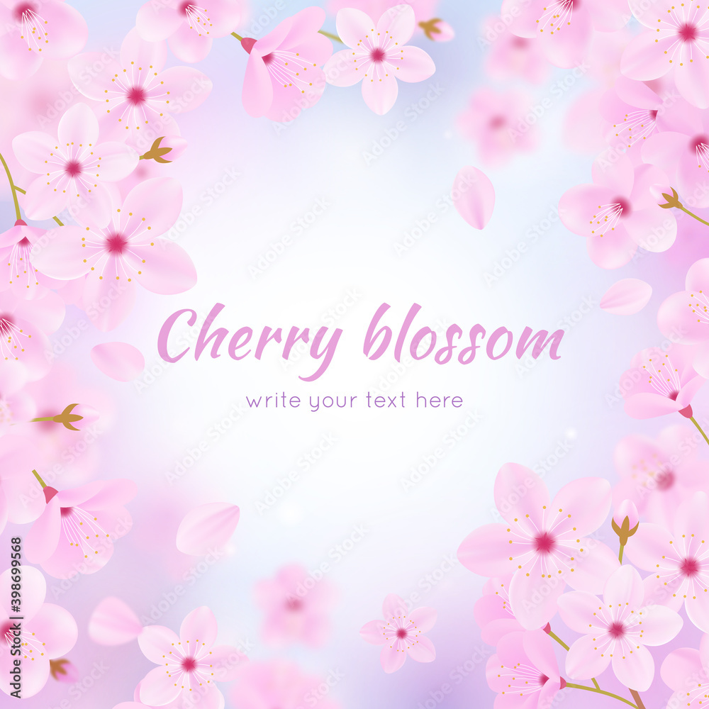 Cherry blossom background.