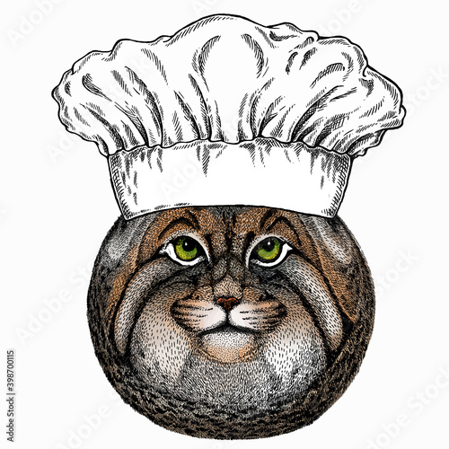 Pallass cat. Chef cook hat. Restaurant logo. Vector portrait, wild cat head, wild cat face.