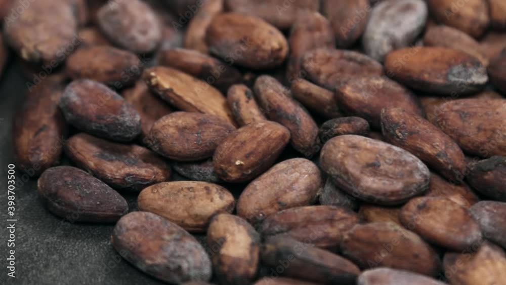 roasted cocoa beans for making drinks, chocolate and desserts. Background of cocoa beans. Dolly video roasted cocoa beans for making drinks, chocolate and desserts. Background of cocoa beans. Dolly video