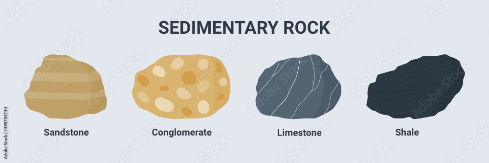 Shale Sedimentary Rock