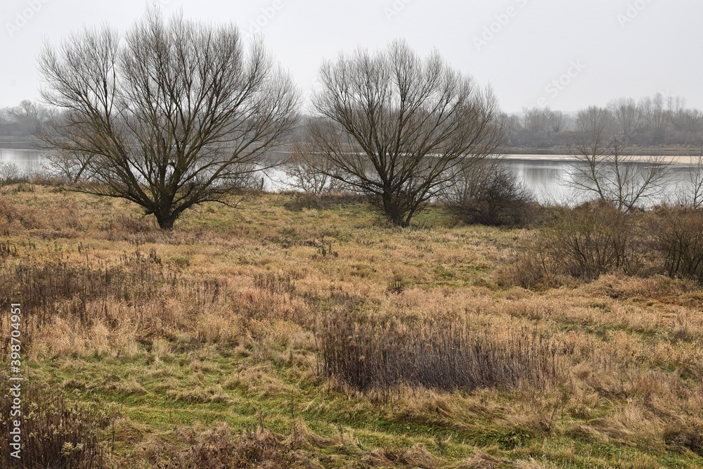 Grudniowy krajobraz nad Wisłą w okolicach Sandomierza Grudniowy krajobraz nad Wisłą w okolicach Sandomierza