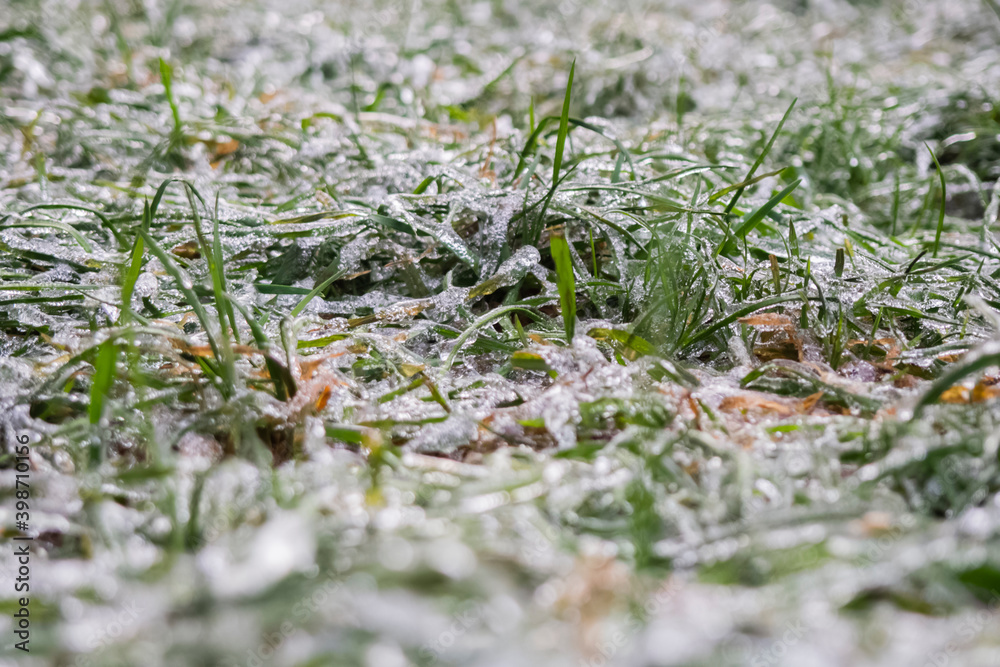 Ice. Green grass covered with ice. The concept of adverse weather in winter