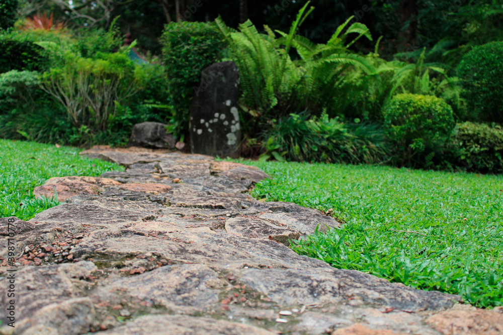 stone path in garden stone path in garden
