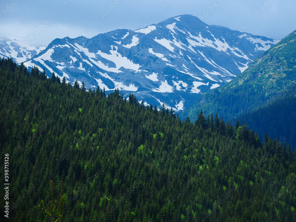 Parangu Mare mountain peak seen between wooded hills. Spring time, snow has not melted yet from the summit.