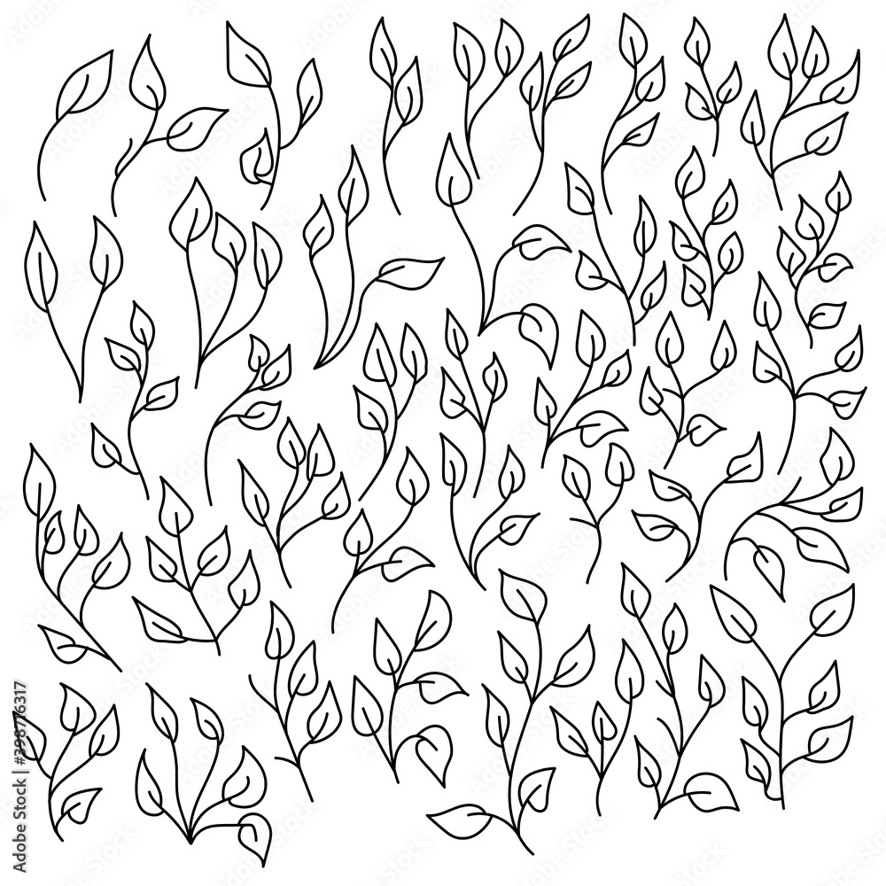 Fototapeta premium A set of ornate doodle leaves on thin twigs, a leaf with a central vein, collected in bunches and branches, parts of plants and herbs