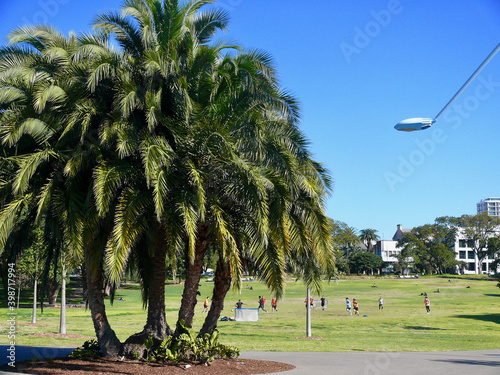 Photography A view of Prince Alfred Park in Sydney, Australia