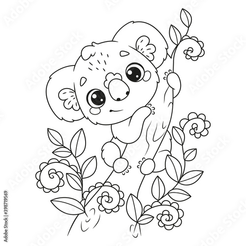 Australian koala on tree coloring page. Black and white outline illustration