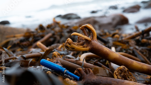 Photography Photos from a Beach on the west coast of Norway