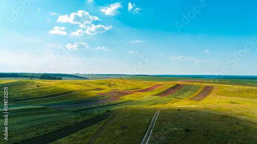 Fototapeta Naklejka Na Ścianę i Meble -  the green field is at sunset shot with the drone