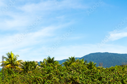 Mountain on a sunny day with blue sky and green vegetation