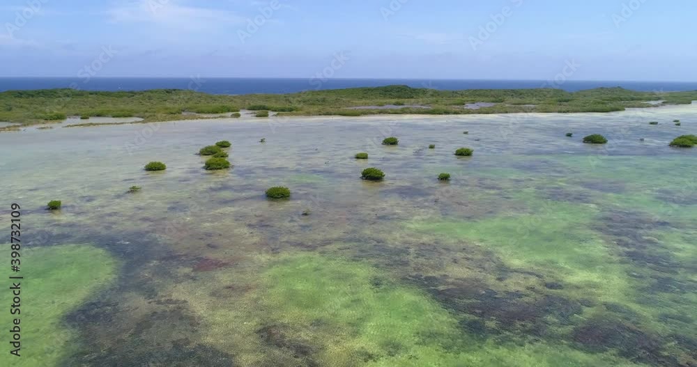 los Roques Venezuela. Green mangrove forest movement left to righ tracking aerial view acendenet movement. los Roques Venezuela. Green mangrove forest movement left to righ tracking aerial view acendenet movement.