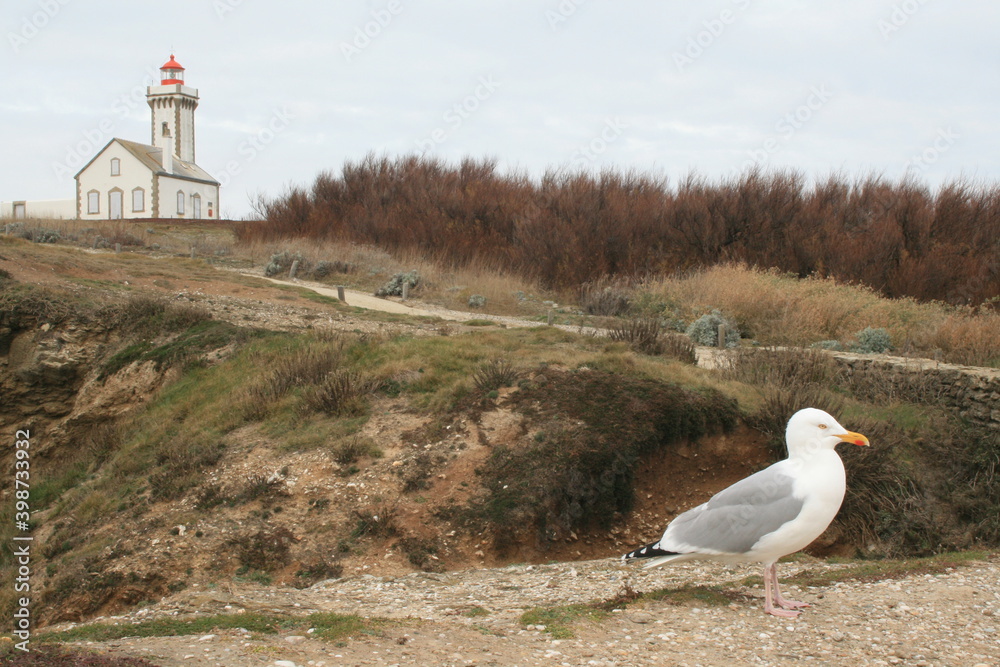 Fototapeta premium lighthouse on the island