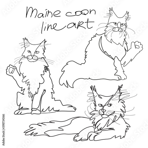 Maine coon cat line vector art logo tattoo furry home purebred nursery breeder design