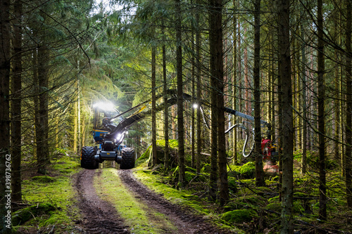 Feller buncher working in forest