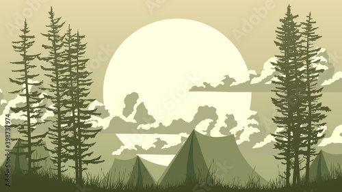 Horizontal illustration of night grassy meadow and coniferous trees with tent camp.