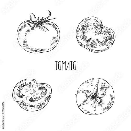 Hand drawn vector illustration set of tomatos. Isolated monochrome picture of vegetables for design, cooking