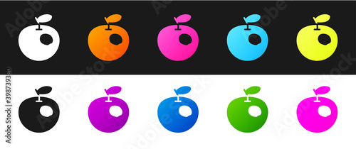 Set Genetically modified apple icon isolated on black and white background. GMO fruit.  Vector.