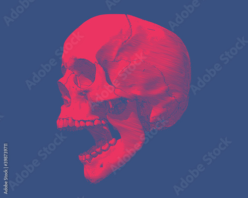Red engraved screaming skull drawing isolated on blue BG