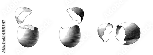 Vintage engraving cracking egg three style drawing on white BG