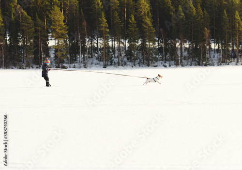 Little boy training for skijoring with dog on ice of lake on sunny winter day photo