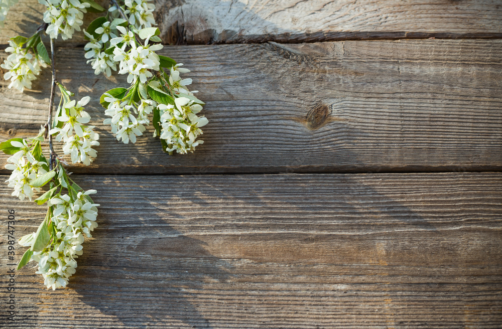 spring flowers on old wooden background spring flowers on old wooden background