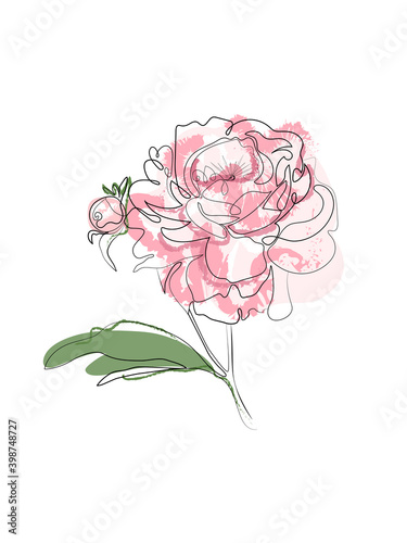 Peony in one line art drawing style. Vector illustration. Simple Art for logo, poster, blog