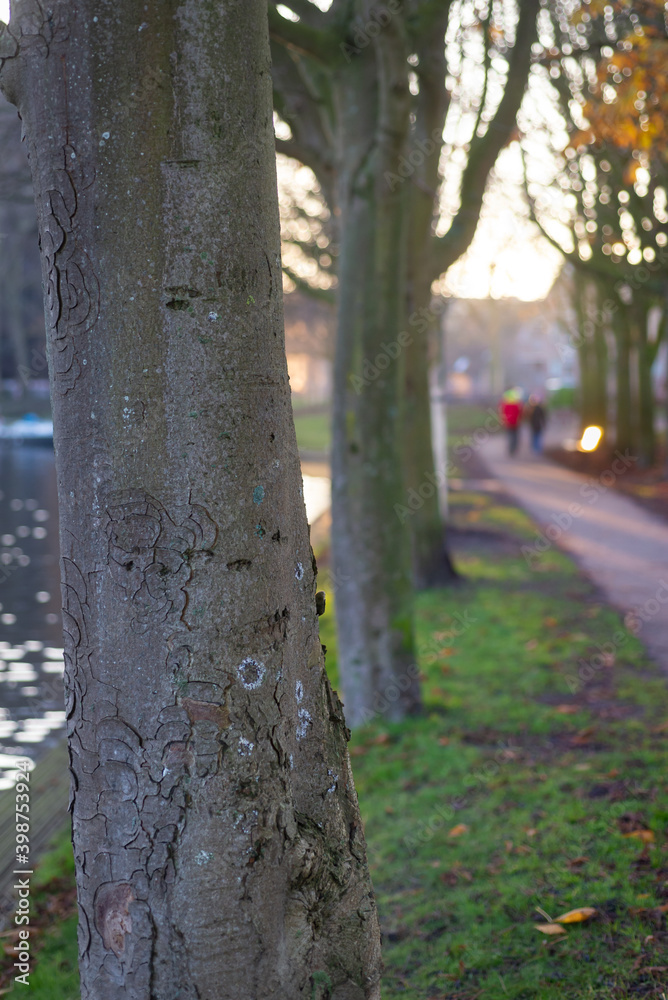 Walking path near the canal during the sunset, Leiden, Netherlands Walking path near the canal during the sunset, Leiden, Netherlands