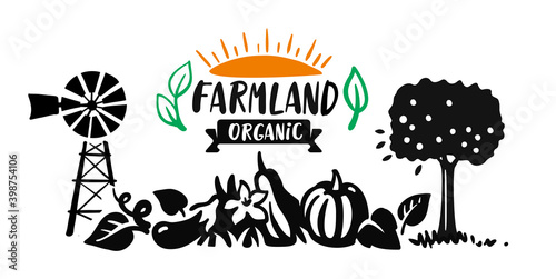 Apple tree pumpkin and eggplant grow on farm