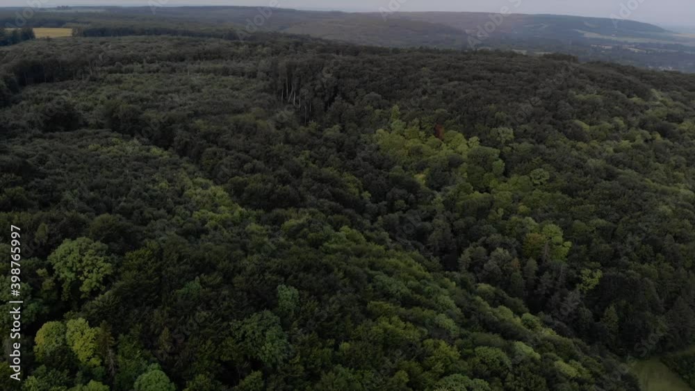 Beautiful drone panoramic view of green forest on the mountains. 