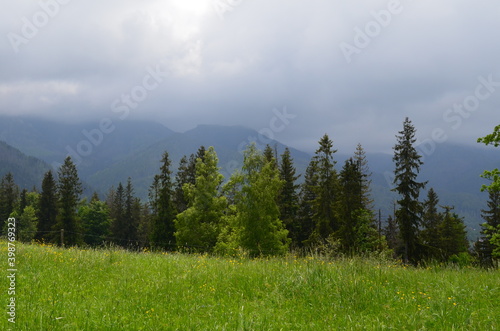 Widok ze Wzgórza Antałówki w Zakopanem na pogórze latem, Polska