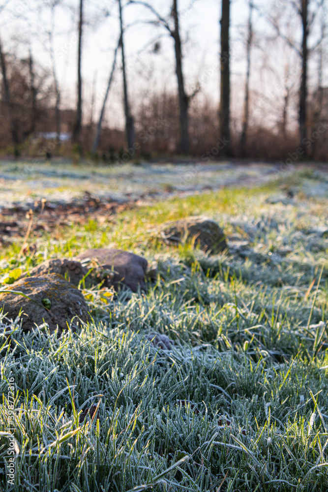 Obraz premium Frozen trail on the ground on a frosty day winter lighting