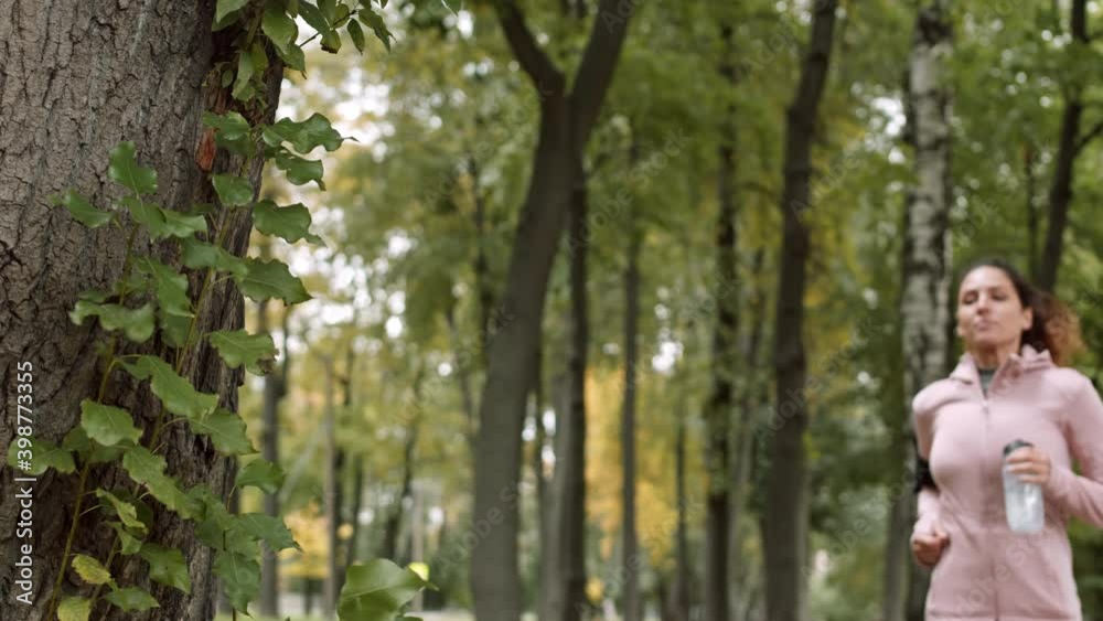 Medium shot of young Caucasian sporty woman wearing sport clothes running in forest, stopping near tree, making sip of water and continuing running Medium shot of young Caucasian sporty woman wearing sport clothes running in forest, stopping near tree, making sip of water and continuing running