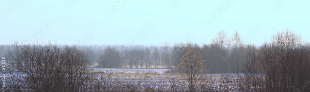 Foggy winter landscape with bushes and trees, soft daylight Foggy winter landscape with bushes and trees, soft daylight