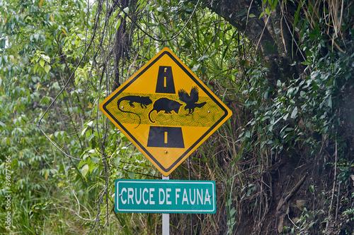 black and yellow road sign. traffic sign showing wild animals