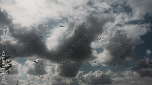 Birds flying above Bosphorus waterway in Sea Of Marmara in Istanbul at stormy weather with dramaric clouds in the sky in spring photo