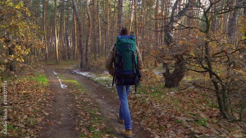 Backpacker walks along a trail in the forest. Travel concept. 4K Backpacker walks along a trail in the forest. Travel concept. 4K