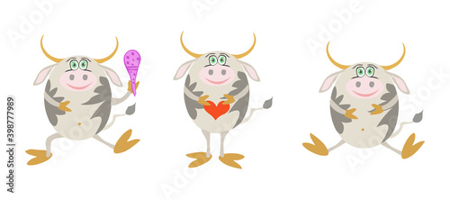 Funny cartoon bull (cow). Vector illustration for Chinese New Year of white bulls. Set of flat hand drawn characters, animals isolated on white. Funky design for kids, decoration, holiday cards, print