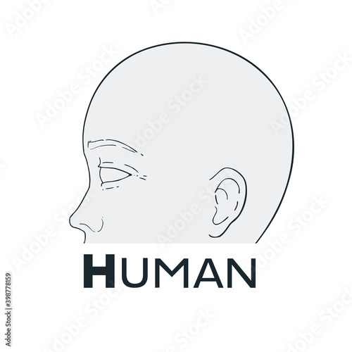 Human face draw