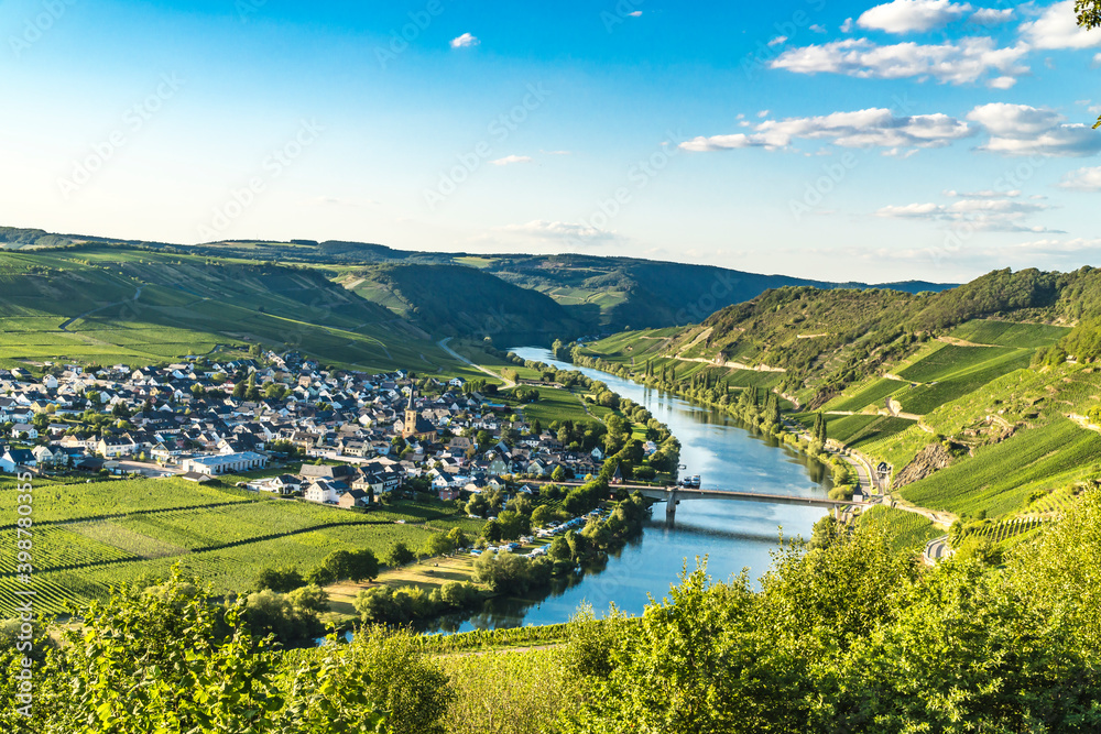 Naklejka premium Trittenheim in Germany