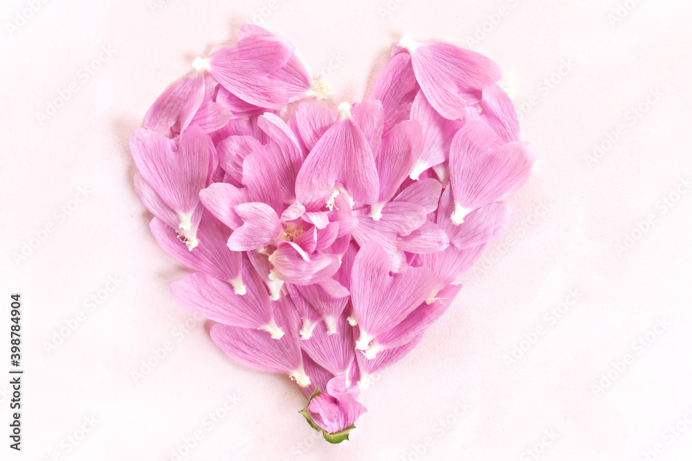 Heart of pink mallow petals on a light background with space for text. Card.