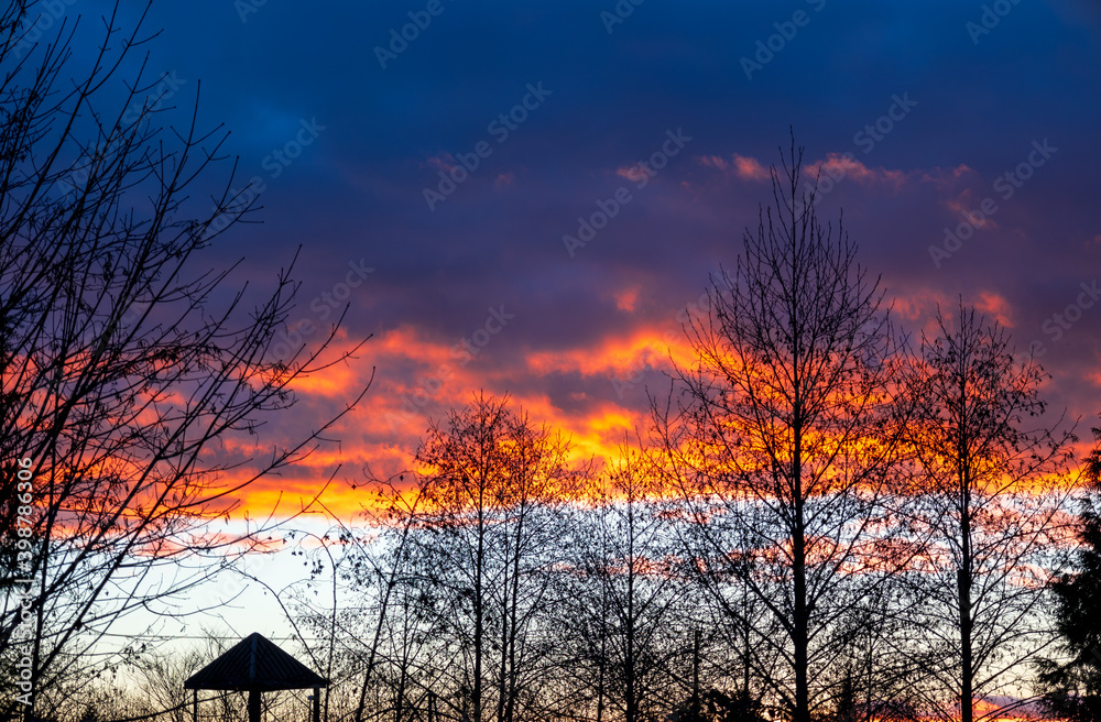 Stunning December sunset after rainfall