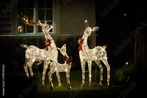 Obraz na płótnie Reindeer family outdoor Christmas light decorations w salonie