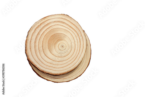 Wood slice texture on white background