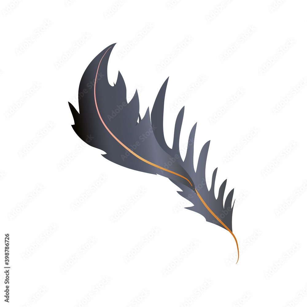 feather fluff allegory decoration icon