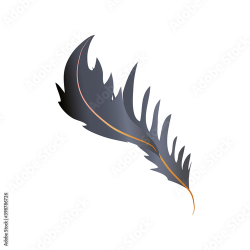 feather fluff allegory decoration icon