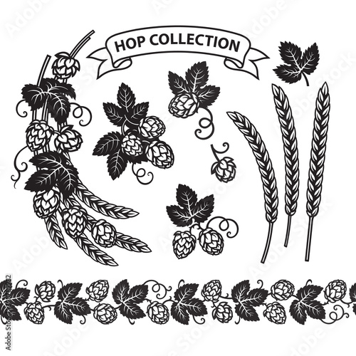 Hop branches with cones and leaves seamless border. Brewery, beer festival, bar, design elements in vintage engraving style. Hand drawn vector illustration isolated on white background.